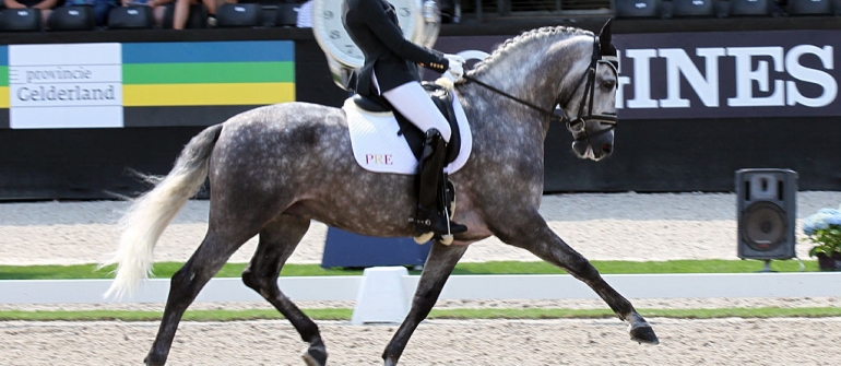 MOLINERO FS MAKES HISTORY, with the highest score of the Spanish dressage team.