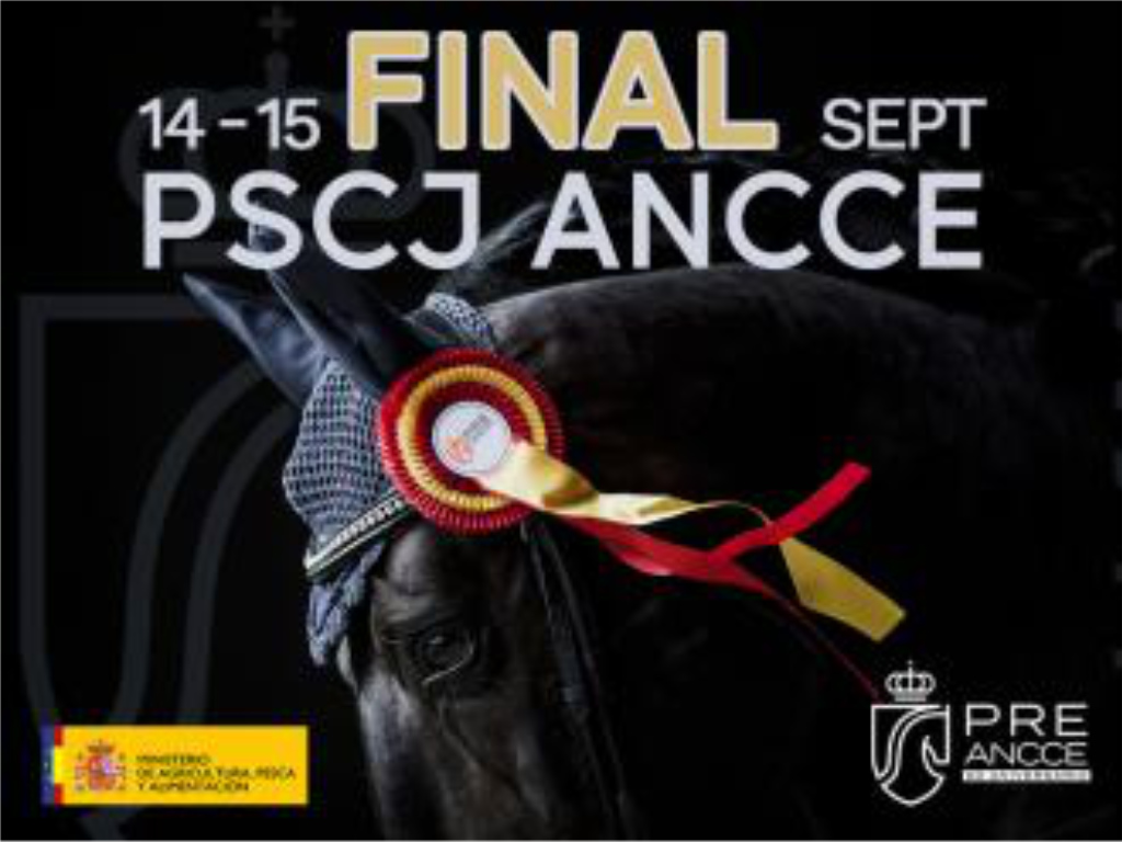 The registration deadlines are now open and the programme for the last two PSCJ ANCCE 2022 as well as the Final are available.
