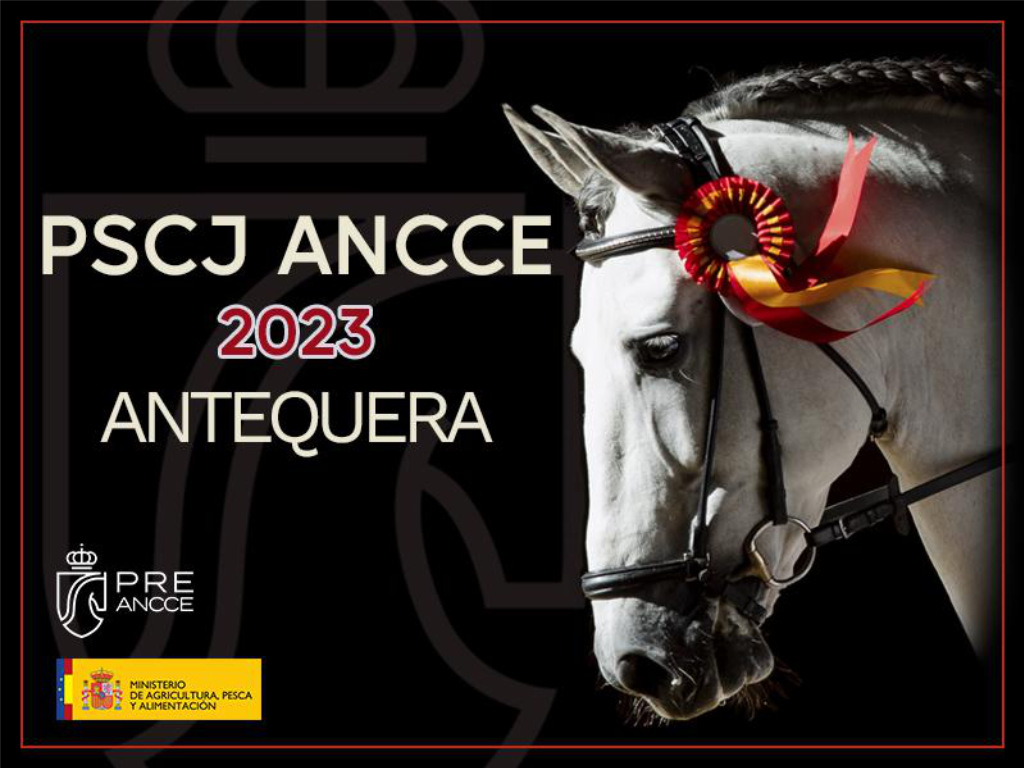 Fourth ANCCE 2023 PSCJ: 23rd and 24th May in Antequera (Málaga)