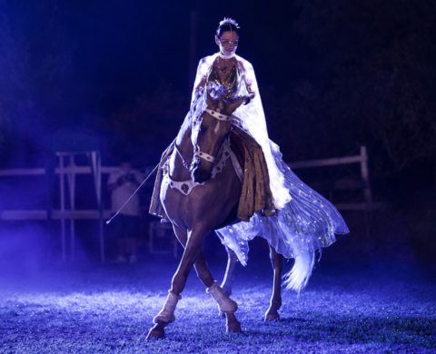 Caballo palomino con experiencia en alta escuela y espectáculo. Ref: 04111