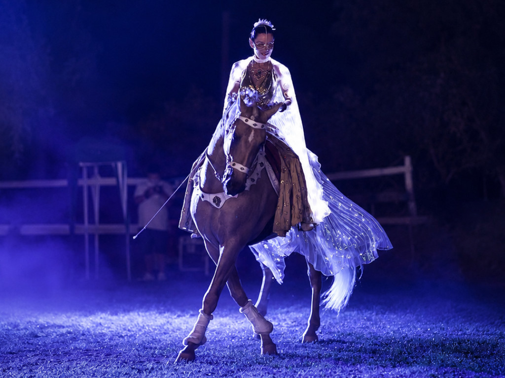 Caballo palomino con experiencia en alta escuela y espectáculo. Ref: 04111
